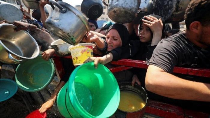 Mais de 100 ONGs denunciam 