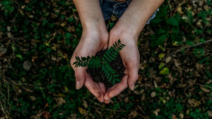 Igrejas do sul do país querem definir ações para combater as mudanças climáticas