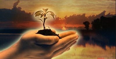 Ministerio Boa Semente